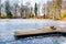 Wooden jetty on a frozen lake in a garden