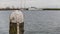 Wooden jetty pole with metal on a pier on a lake with calm waters and a boat in the background