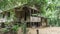 Wooden jungle home