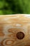 Wooden knotted plank green bokeh background