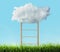 Wooden ladder with cloud in green field under sky. Conceptual design