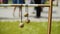 Wooden ladder golf balls hang on wooden bar on a sunny day