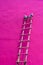 Wooden ladder on a pink wall. Climb up to paint a surface, workers do plain artwork. intense fuchsia facade