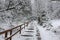 Wooden ladder among the snow forest in mountains