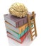 Wooden ladder standing near books pile. on top of the book is a