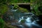 Wooden ladders over the stream in the gorges of the Slovak Paradise