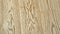 Wooden laminate of pine rotate closeup.Abstract background for your decor design