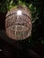 Wooden lampshade with black background.