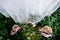 Wooden lanterns and brides shoes on the ground under a hanging wedd dress