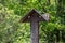 wooden large church cross