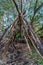 A wooden Lean-to type of construction made from sticks