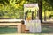Wooden lemonade stand in park on sunny summer day