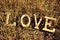 Wooden letters forming the word love on the grass