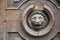 Wooden lion door. Lions gaze from weathered wooden door for graphic and web design, for website or mobile app.