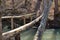 Wooden log bridge connecting hiking trail