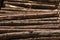 Wooden Log Pile Factory Side View Texture Background Bark Layin