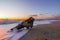 Wooden log at Sunset at Agios Ioannis beach in Lefkada