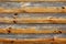 Wooden logs and boards with faded light texture background