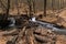 Wooden logs near stones and mountain