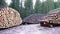 Wooden logs in piles sorted in the woods