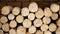 Wooden logs placed beside brick wall. Dried firewood ready for use on background of red brick wall