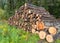 Wooden logs on the side of the road, trees prepared for removal, timber extraction concept