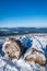 Wooden logs in snow