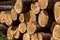 Wooden logs. Timber logging in forest. Freshly cut tree logs piled up as background texture close-up