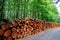 Wooden logs timber stacked in Harz Germany