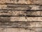 Wooden logs wall