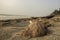 A wooden lonely fishing boat with fishing net on Tajput sea beach near Digha. Selective focus