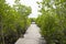 Wooden long brigde pathway for people and traveler visit and loo