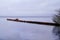 Wooden long pontoon on water Sanguinet lake in landes France southwest