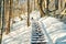 Wooden long stairs in snow