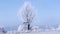 Wooden lookout tower for hunting in winter landscape with frozen trees and blue sky