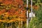 Wooden lookout tower for hunting in the woods and trees