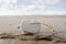 Wooden love heart in the sand