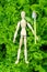 Wooden man Farmer planting lettuce seedlings in the vegetable garden. Home gardening and plant growing concept. Vertical