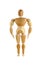 Wooden manikin with muscles