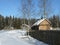 Wooden mansion at pine forest