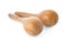 Wooden maracas on white. Musical instrument