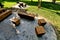 wooden massive park bench shape block with metal legs on granite