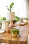 Wooden massive table with gardening tools and green potted plants ready for planting at home