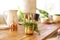 Wooden massive table with gardening tools and green potted plants ready for planting at home