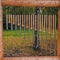 Wooden and metal wind chime. Background musical decoration