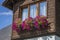 The wooden mezzanine of an old farm mountain house with colorfull flowers in Austria