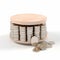 Wooden Money Box With Counting Coins - Ambient Occlusion Style