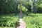 a wooden monument in the Peoples\\\' Friendship Park. Ulyanovsk