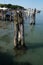 Wooden mooring poles in the sea on the way from Lido di Jesolo to Venice