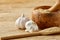 Wooden mortar and pestle with garlic and grind spicies on rustic table, close-up, selective focus